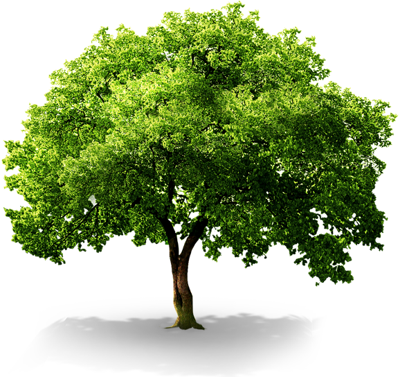 플래티늄 충북충주점